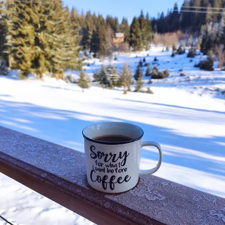 Chalet Planinska Kuca Rosa Brandis Vlasic